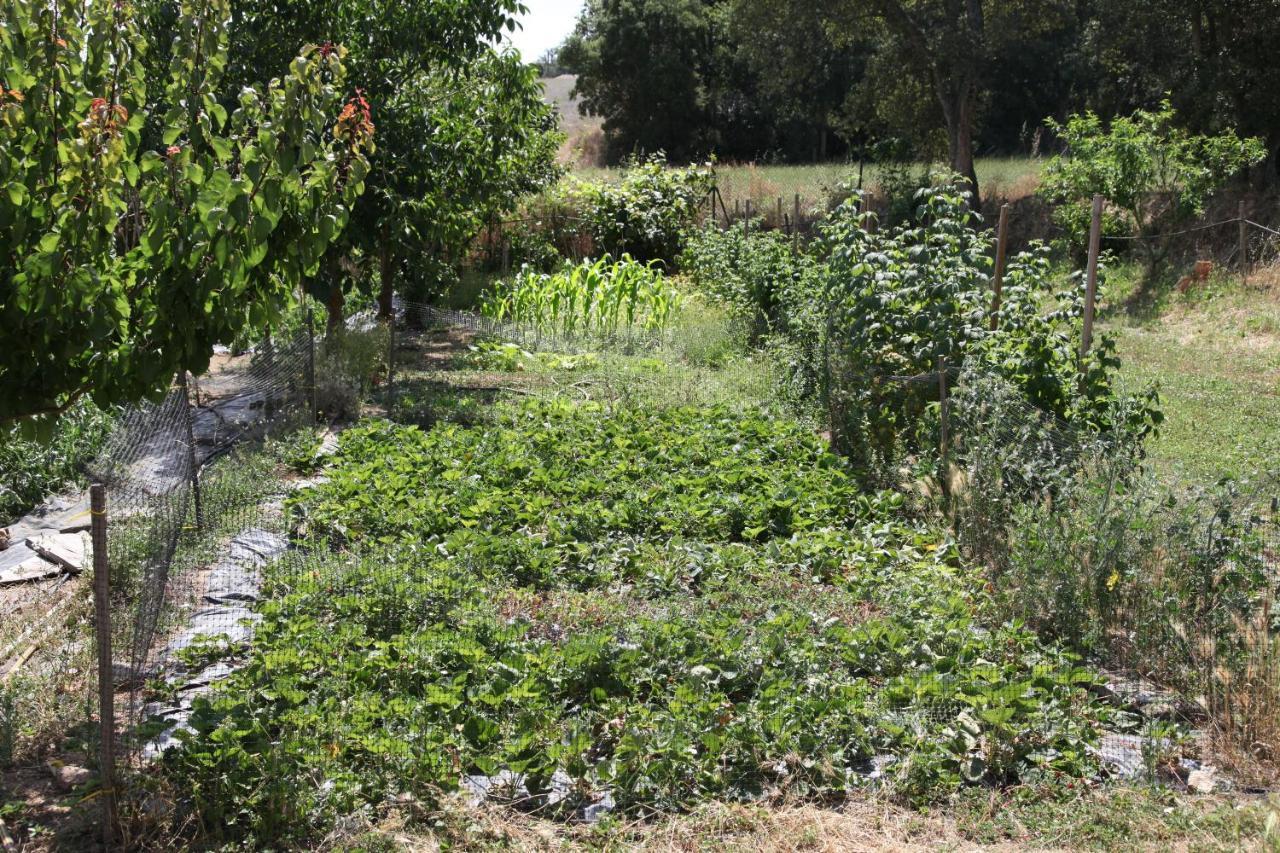 Can Cabanyes Llagostera Zewnętrze zdjęcie